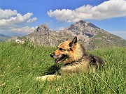 52 Dori riposa dopo ripida faticosa salita con panorama in Arera-Corna Piana